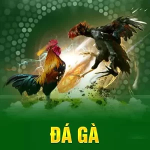 QQ88 | Nhà Cái QQ88.COM | Link Đăng Nhập QQ88 Chính Thức